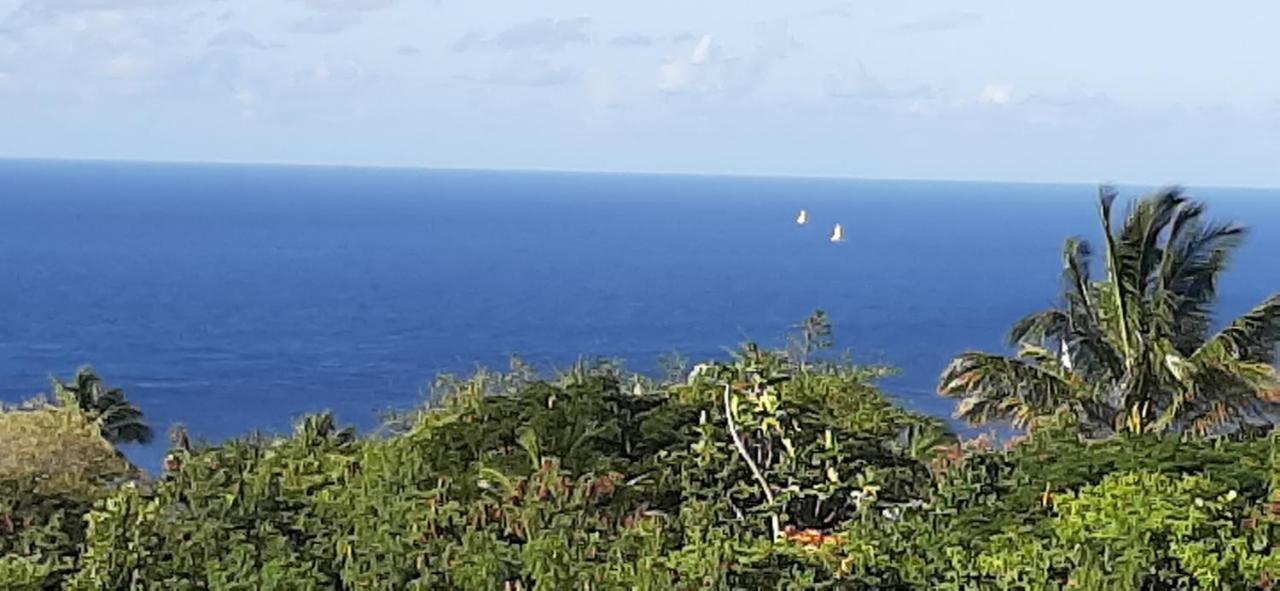 Kaye Mango Villa Soufriere Luaran gambar