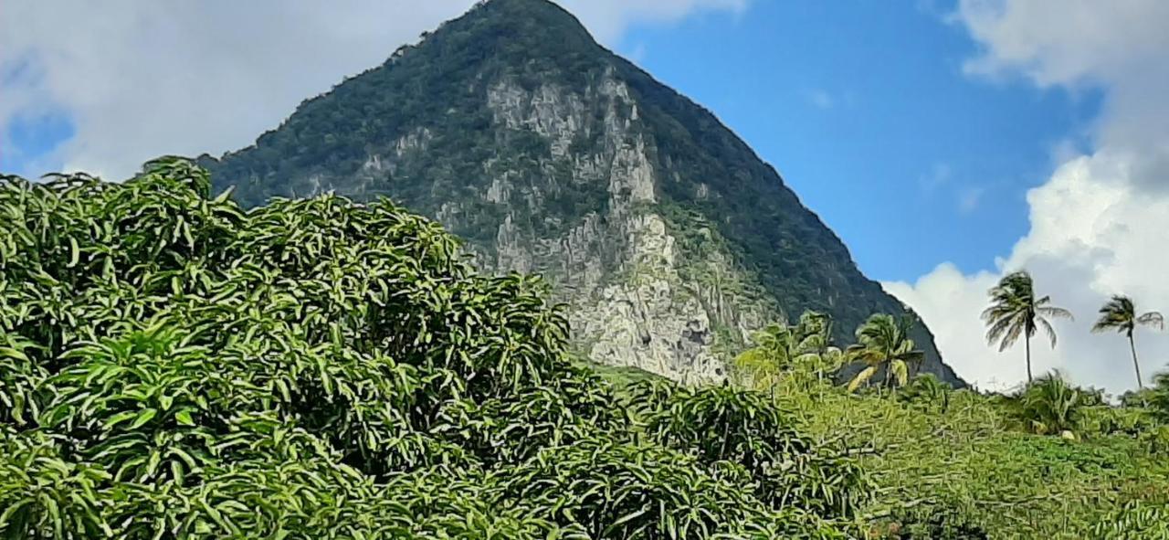 Kaye Mango Villa Soufriere Luaran gambar