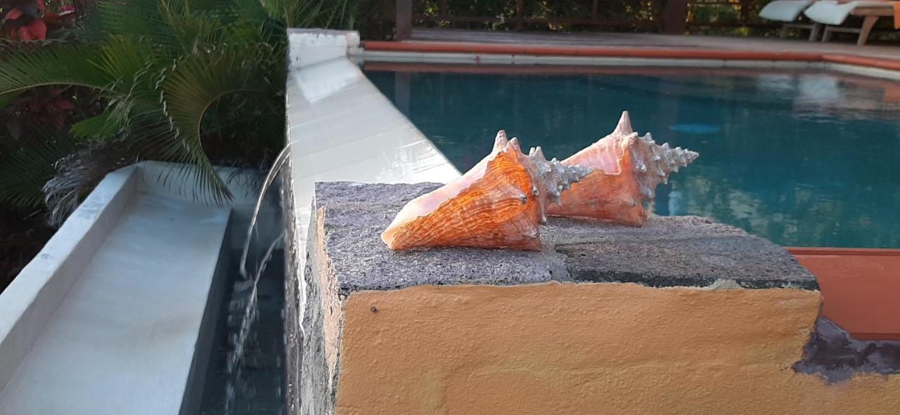 Kaye Mango Villa Soufriere Luaran gambar